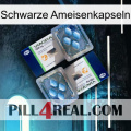 Black Ant Capsules viagra5
